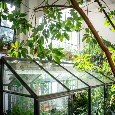 Orto botanico cittadino